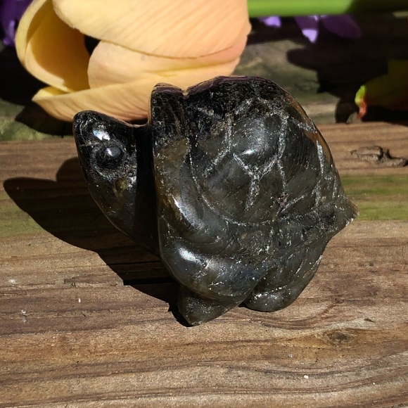 Labradorite Crystal Turtle - Picture 4 of 16
